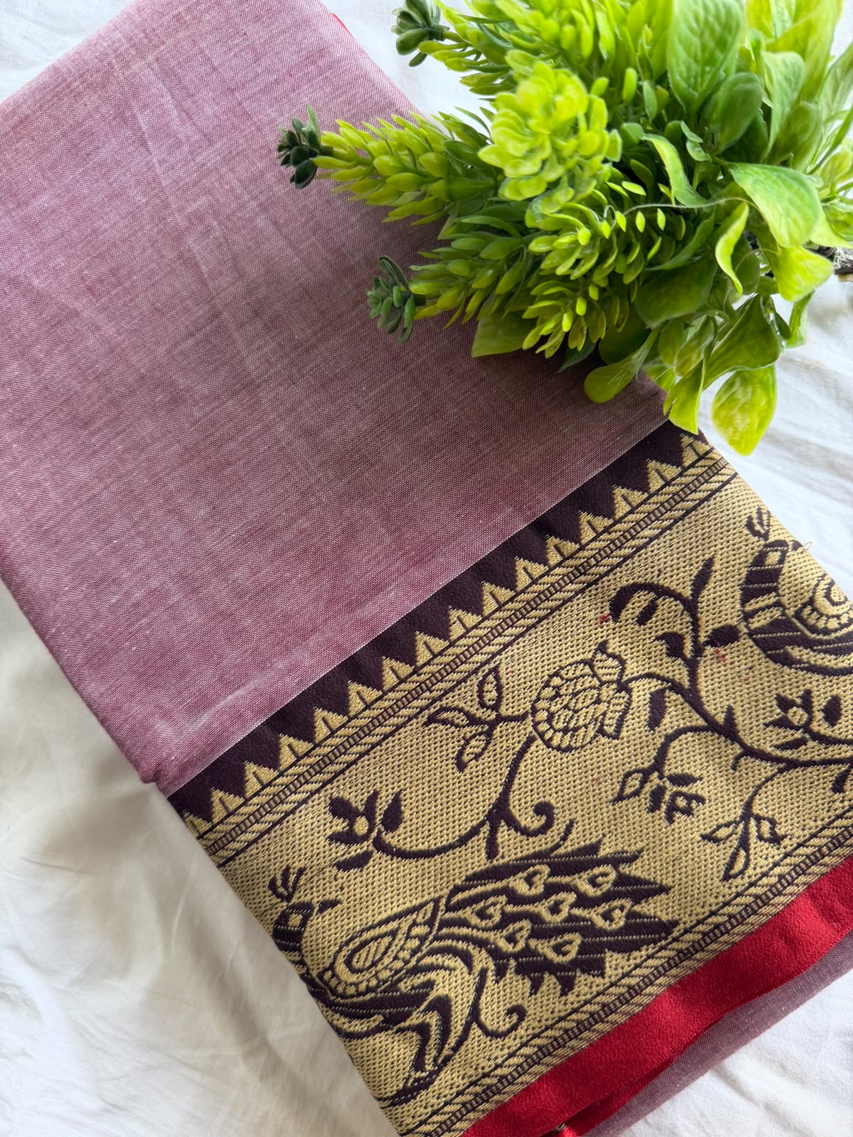 E.Narayanpet cotton