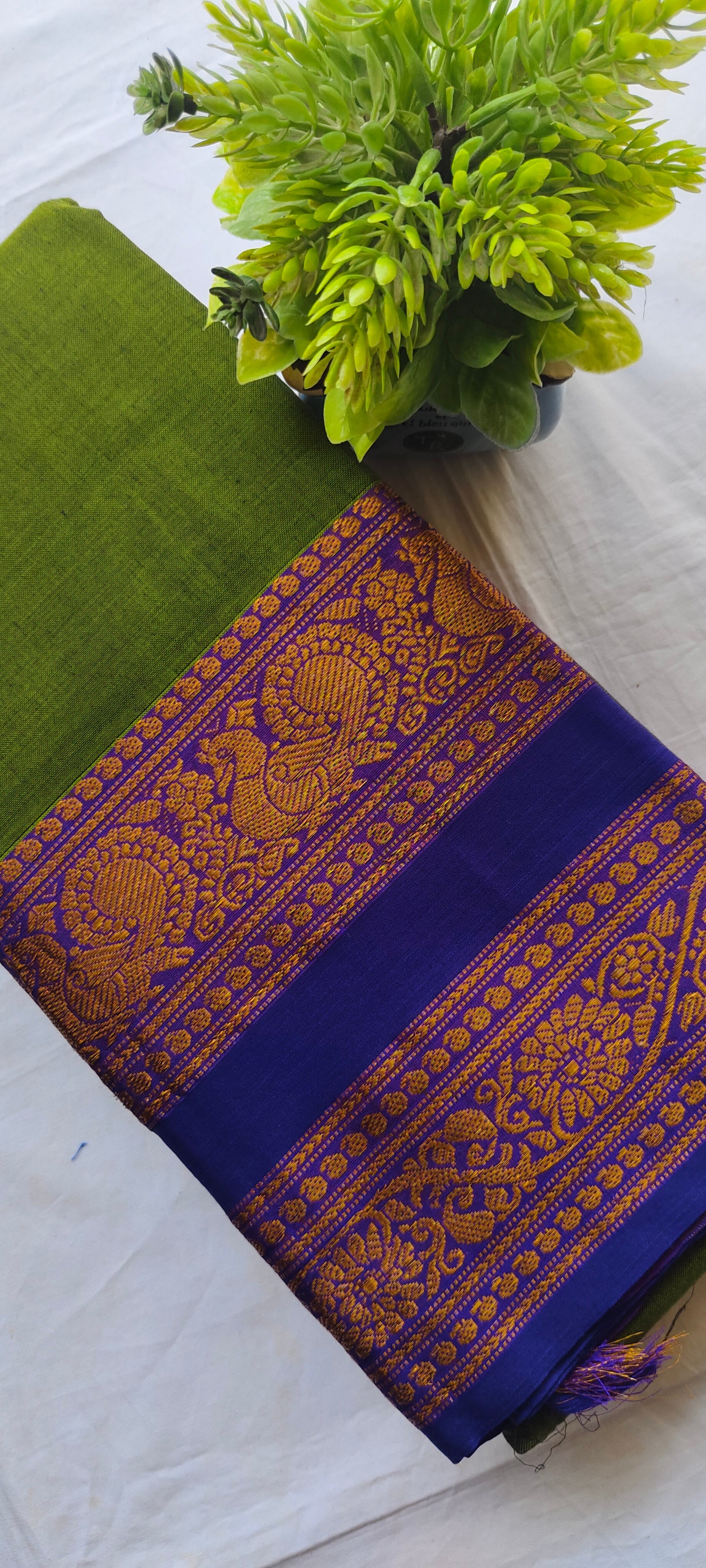 Narayanpet Cotton