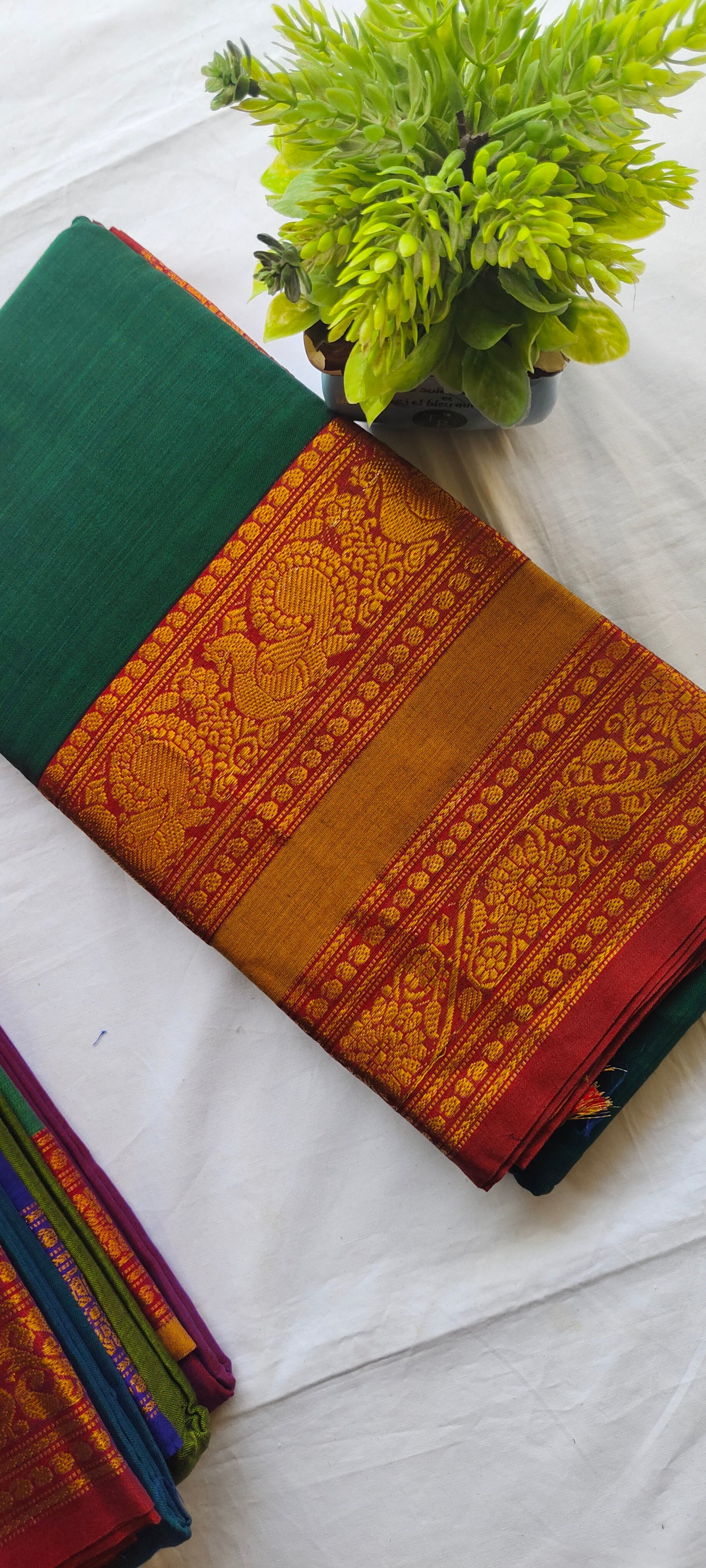 Narayanpet Cotton