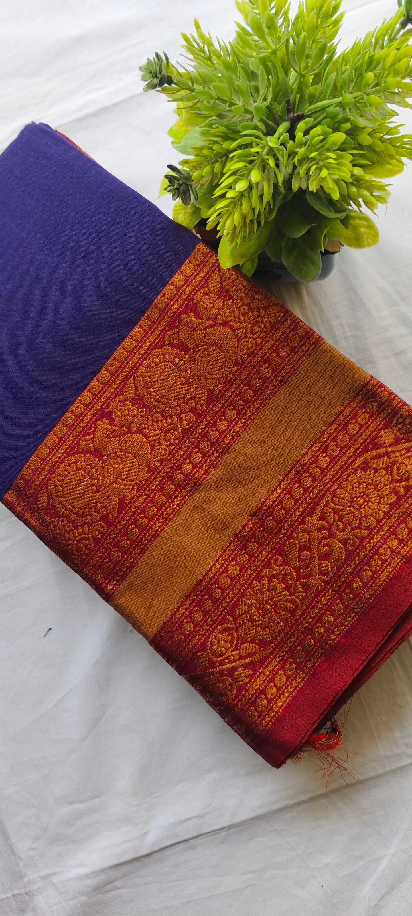 Narayanpet Cotton