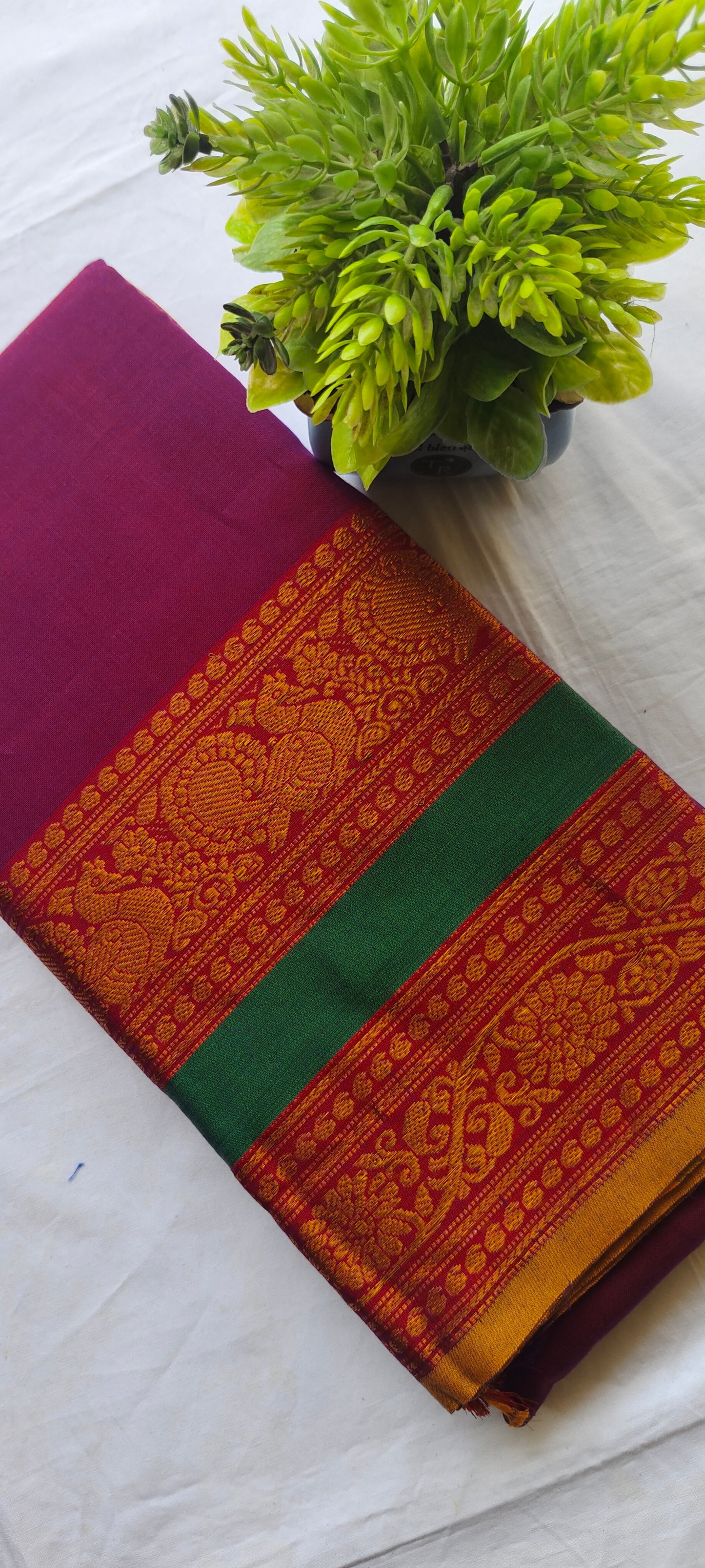 Narayanpet Cotton