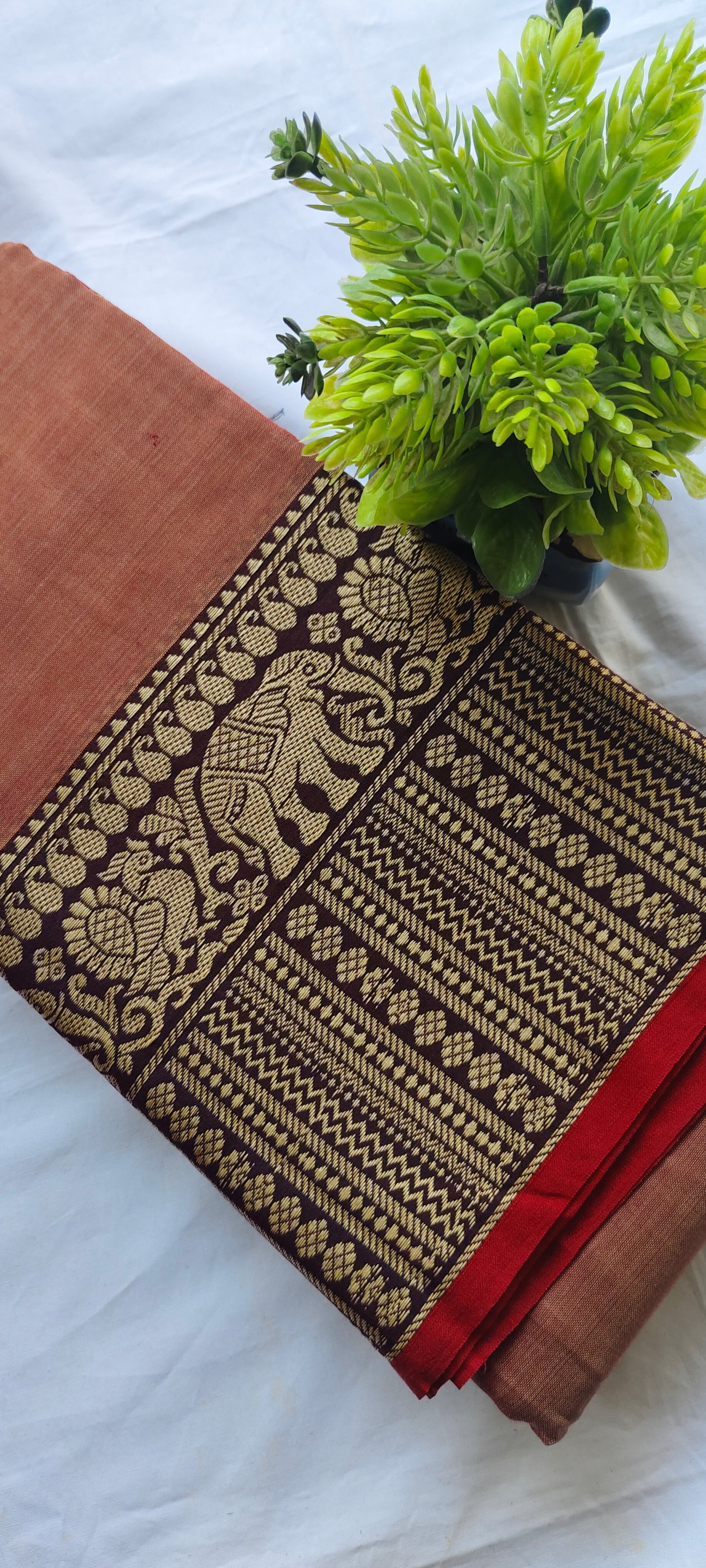 Narayanpet Cotton