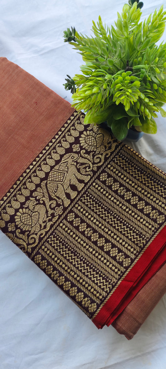 Narayanpet Cotton