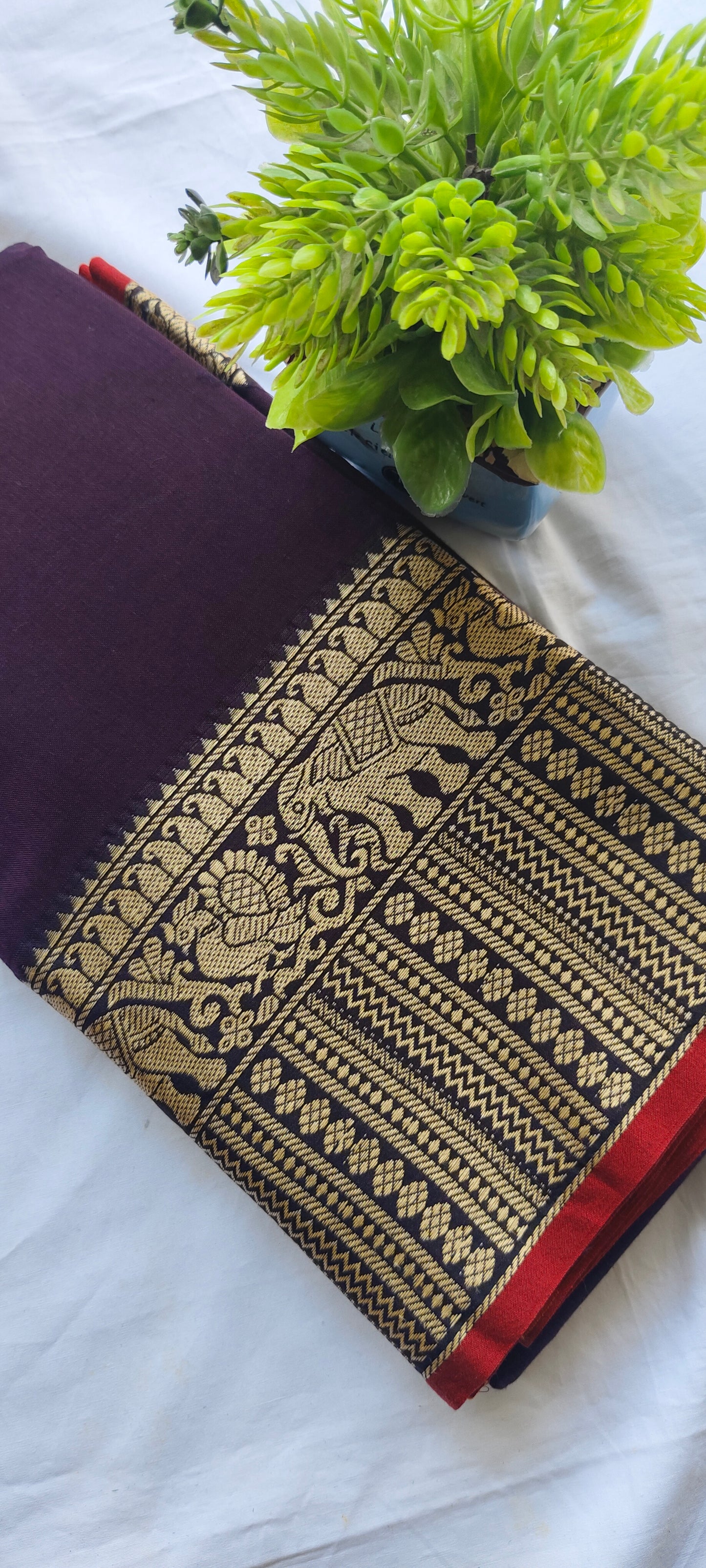 Narayanpet Cotton