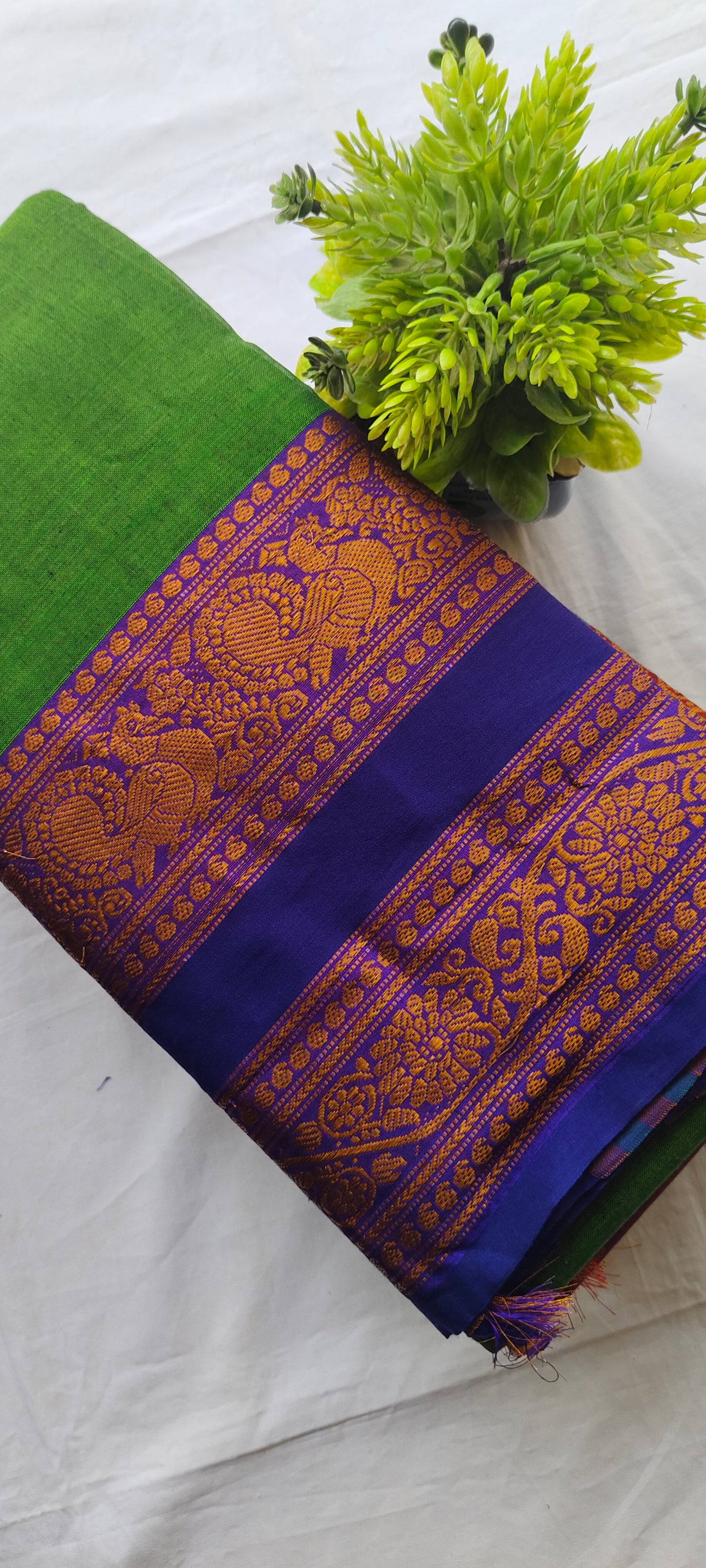 Narayanpet Cotton