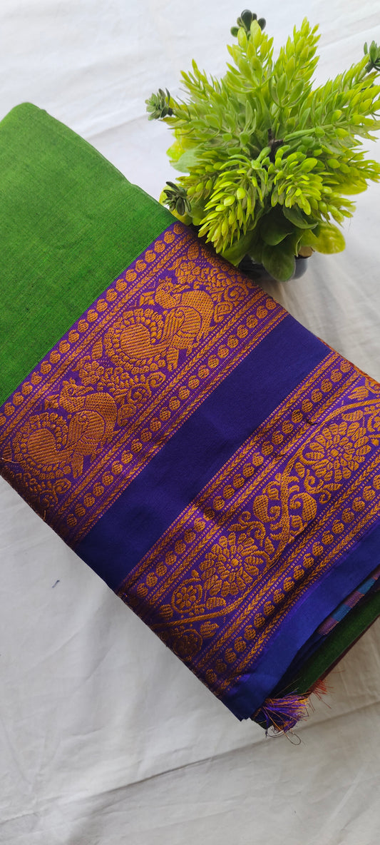 Narayanpet Cotton